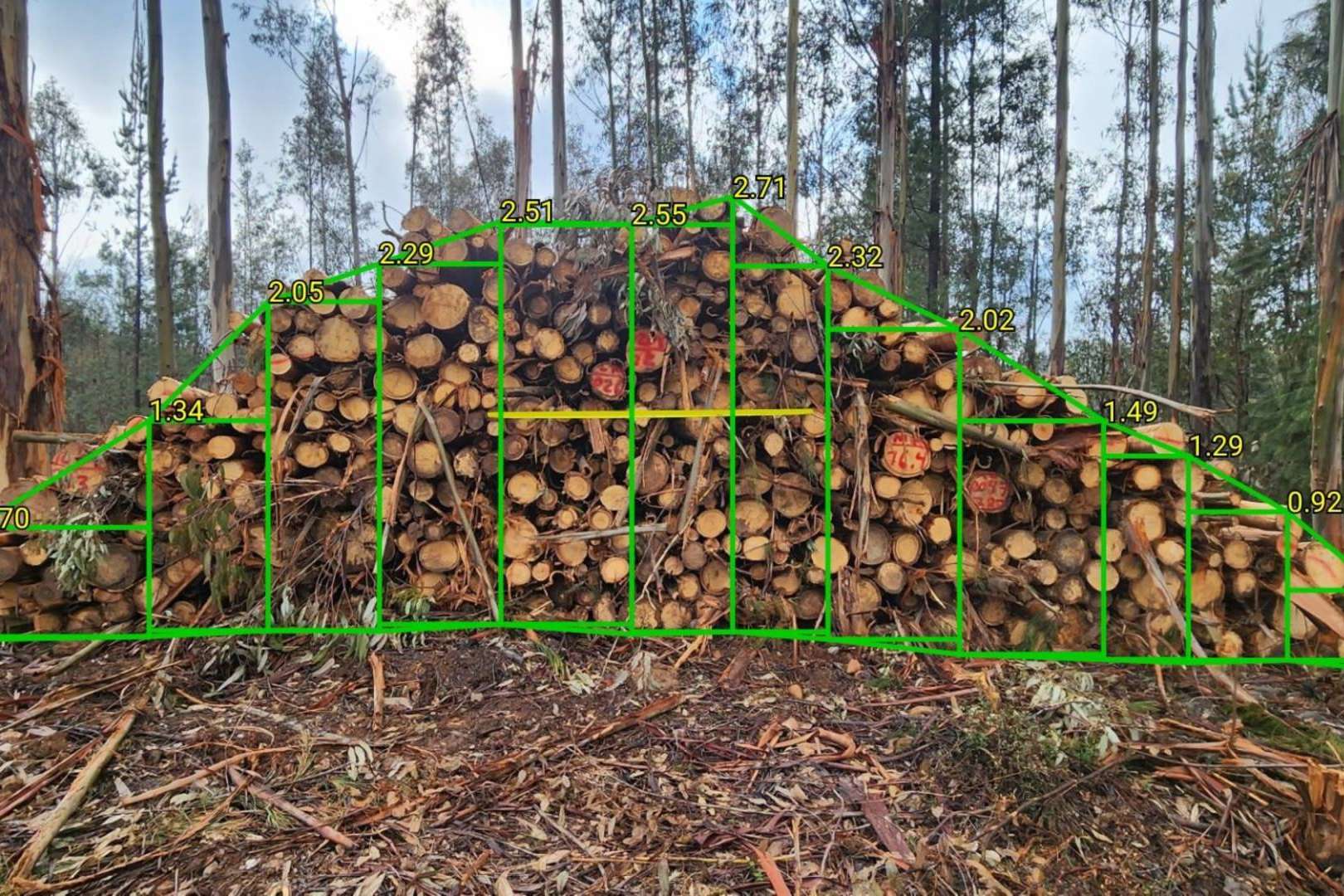 TTC es una empresa experta en el desarrollo de software para la industria forestal
